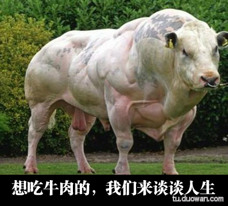 感受本身壮壮哒～