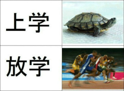 上学与放学的速度