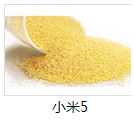 标题可以有,标题真没有