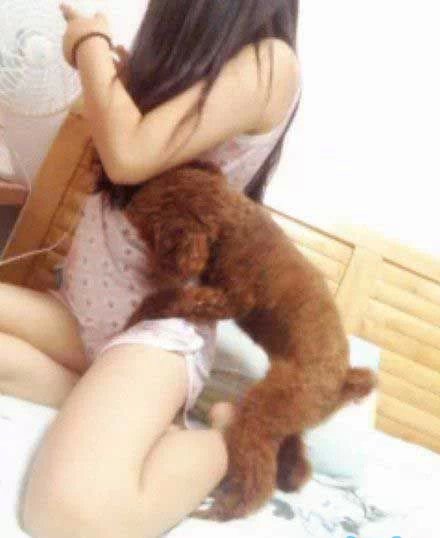 汪星人，你看什么呢！