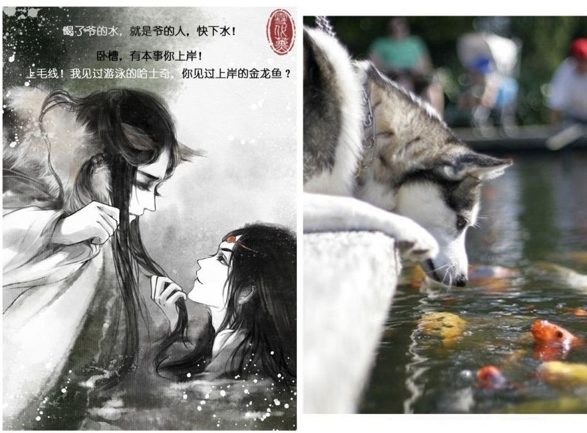 新人求过啊┏ (゜ω゜)=☞