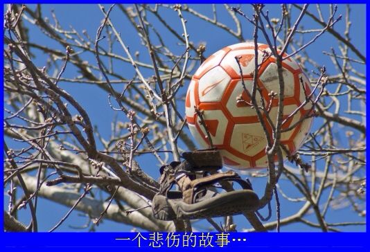 看懂的举手