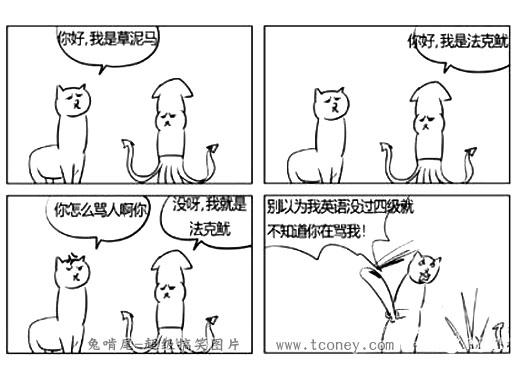 草泥马，法克鱿··········