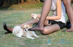 两个女人调戏一个单身狗的故事