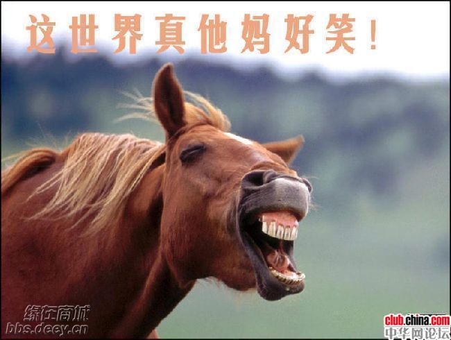 大合唱.....