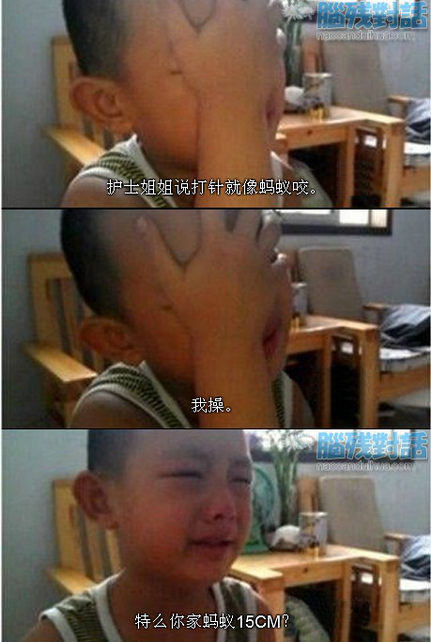 15CM的蚂蚁