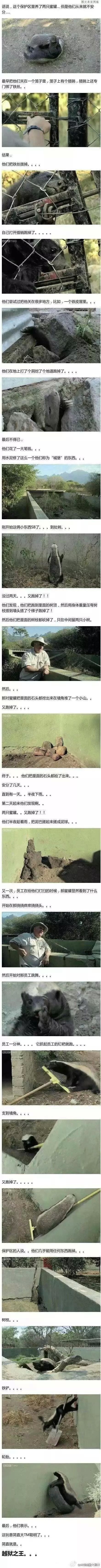 真不知道这俩对象来地球是干什么的