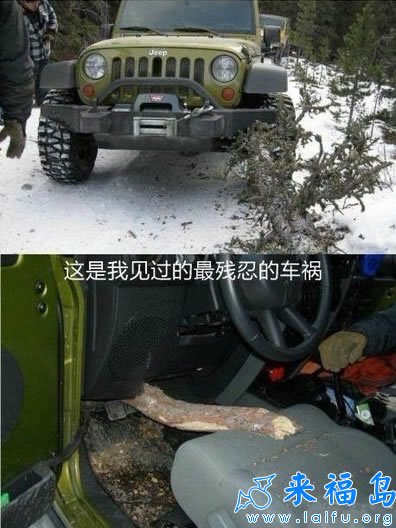 蛋。。。。。。还好吗
