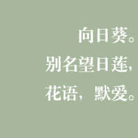 这是什么鬼？？？