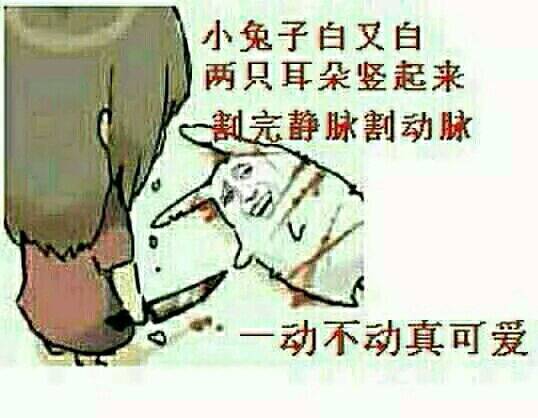 呵呵偶呵呵