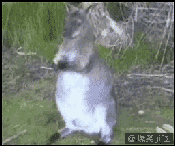 亲爱的主啊
