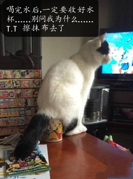 喝完水后，一定要收好水杯……别问我为什么……T.T 擦抹布去了