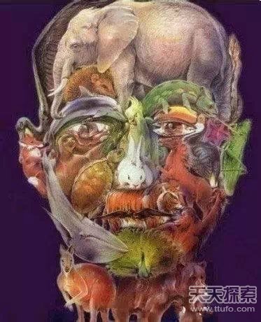 【测试眼力】