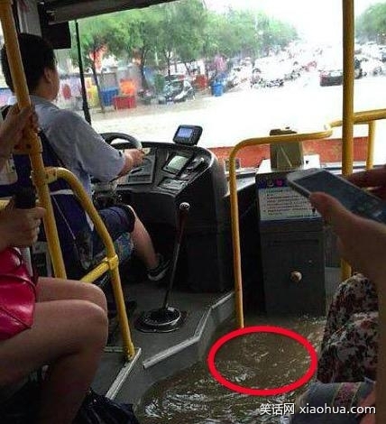 标题被水淹没了