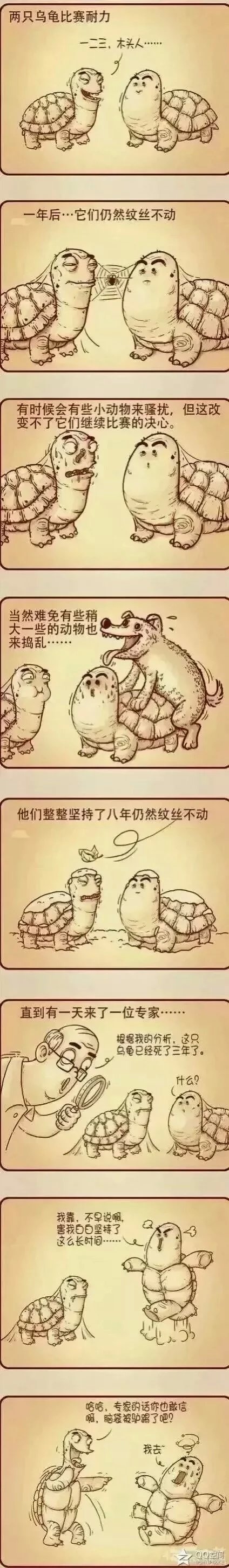 专家的话不能信