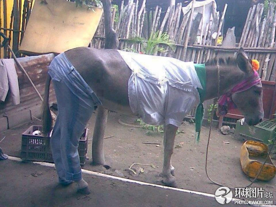 男人管那叫撸管 那女人应该叫啥？