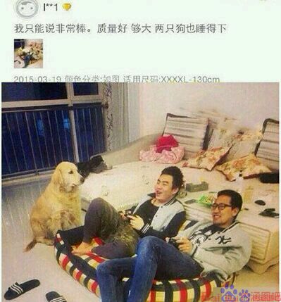 某宝买了个狗窝