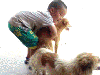 熊孩子不要乱来啊