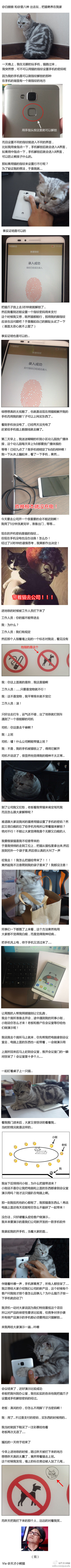 天才小熊猫爆笑长篇漫画