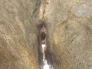 这里风景不错！（转）